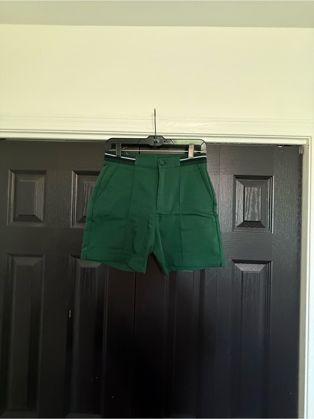 Shorts - Picture 1 of 7
